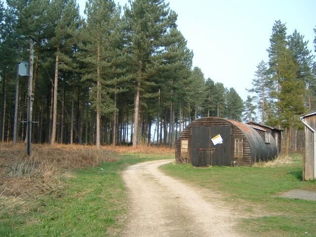 Wheldrake Wood. Looking West at some of the buildings around the intersection of tracks in this pine wood plantation.