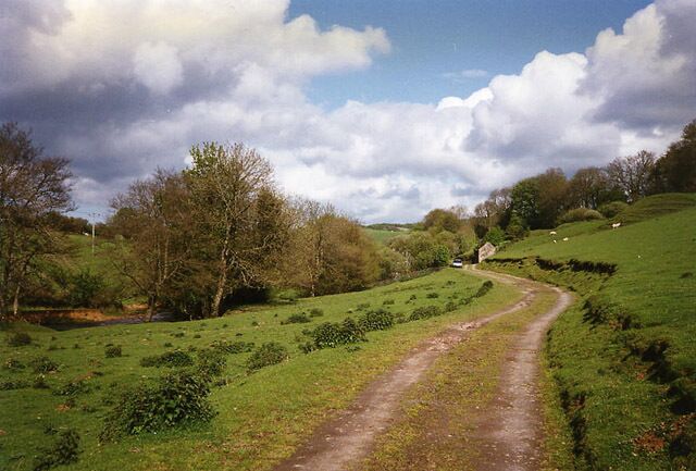 Cutcombe: near Luckwell Bridge. A footpath and bridleway leads to West Mill and on to Wheddon Cross, by the river Quarme. Since this photograph was taken the fields have been fenced in. The track follows the course of the leat to the mill, now filled in