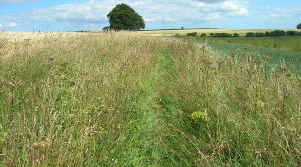 Bridleway near Fairy Dale, Wharram Percy, North Yorkshire, England.