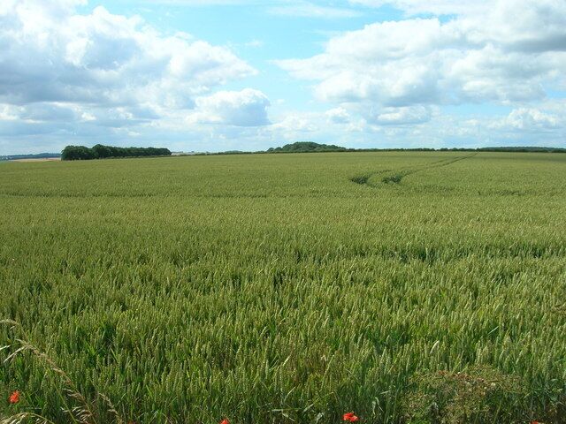 Farmland, Wharram Percy Wold, Wharram Percy, North Yorkshire, England.