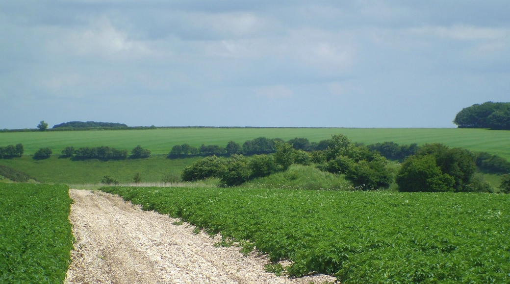 Maybe not a tumulus after all