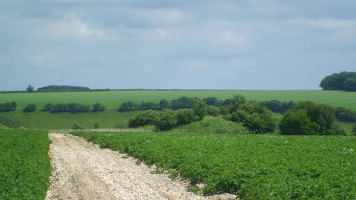 Maybe not a tumulus after all