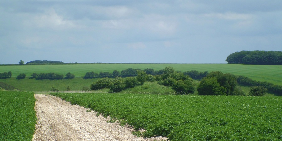 Maybe not a tumulus after all