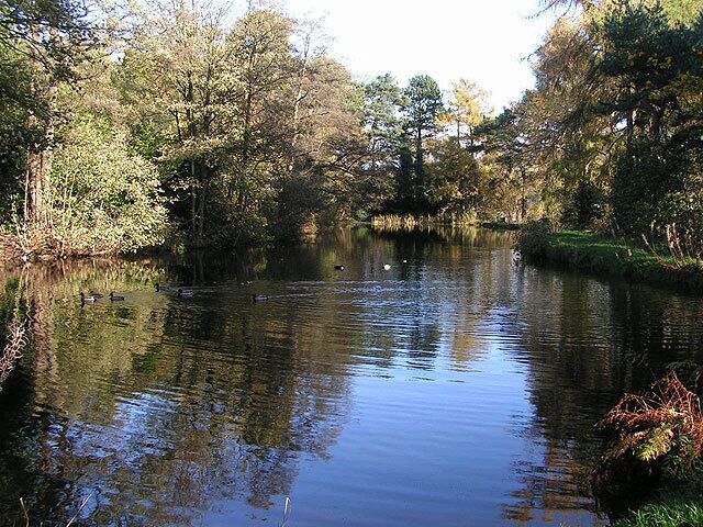 Brookfield Pond. Formerly the water supply for a printworks, this pond and its surroundings now form a Nature Reserve.