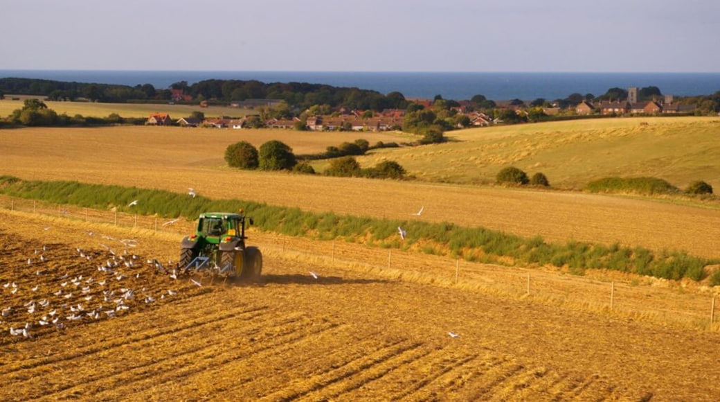 Farmland near Kelling Heath, near to Weybourne, Norfolk, Great Britain. The village of Weybourne can be seen in the distance of this image taken from the North Norfolk Railway.