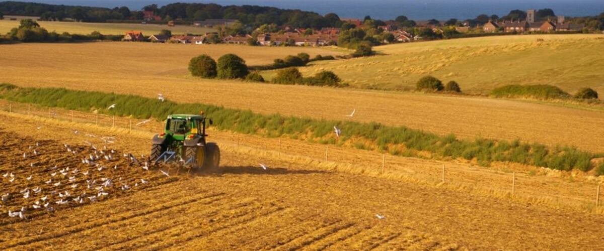 Farmland near Kelling Heath, near to Weybourne, Norfolk, Great Britain. The village of Weybourne can be seen in the distance of this image taken from the North Norfolk Railway.