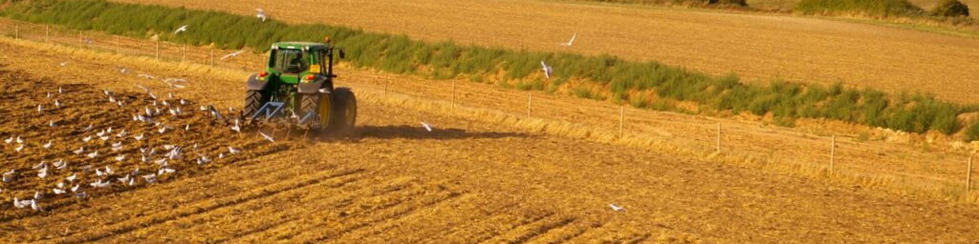 Farmland near Kelling Heath, near to Weybourne, Norfolk, Great Britain. The village of Weybourne can be seen in the distance of this image taken from the North Norfolk Railway.