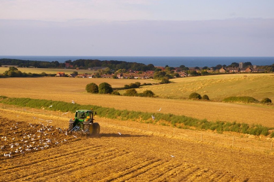 Farmland near Kelling Heath, near to Weybourne, Norfolk, Great Britain. The village of Weybourne can be seen in the distance of this image taken from the North Norfolk Railway.
