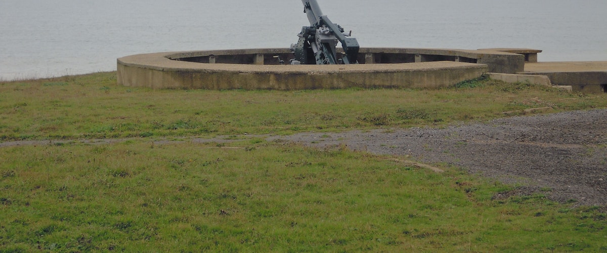 A coastal artillery gun positioned on a concrete platform with a grassy foreground and a body of water in the background.