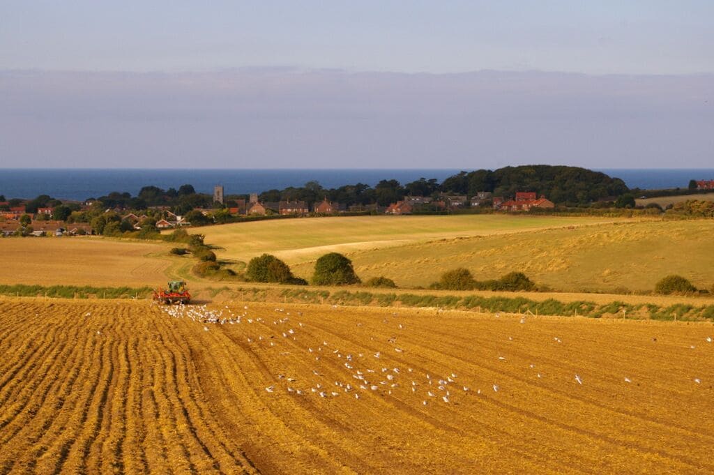 Farmland near Kelling Heath, near to Weybourne, Norfolk, Great Britain. As seen from the North Norfolk Railway, a flock of seagulls is following the tractor (plough). The village of Weybourne can be seen in the distance.