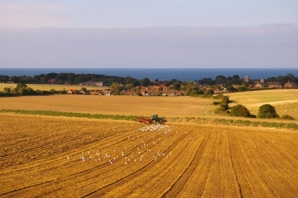A rural landscape with a tractor in a field, a flock of birds, and a distant village by the sea.