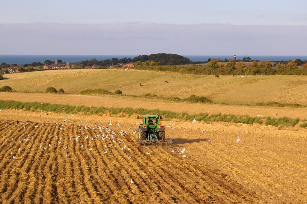 A tractor plowing a field with birds scattered around.