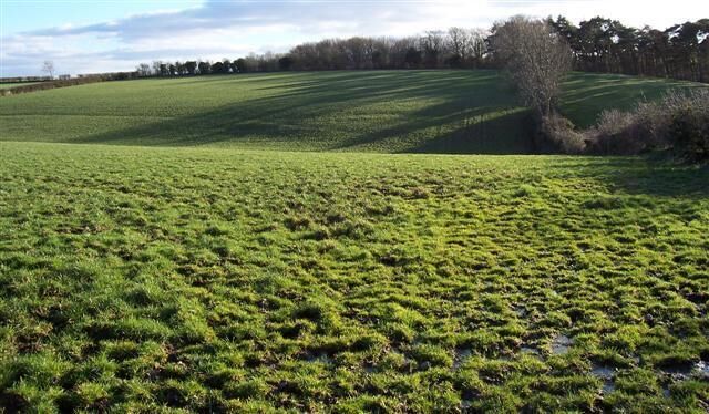 Wet fields and woodland. The winter sun just is not powerful enough to dry this lot up.