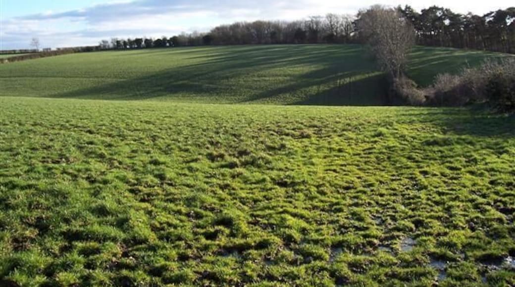 Wet fields and woodland. The winter sun just is not powerful enough to dry this lot up.
