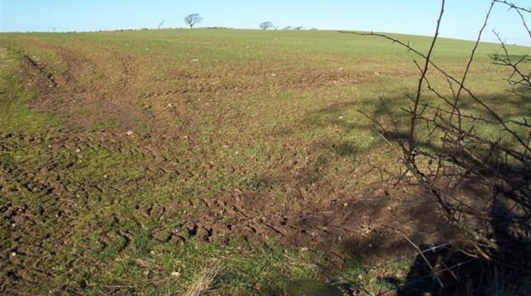 Watch Hill. This field looks ready for sunshine and showers to get growing and green again.