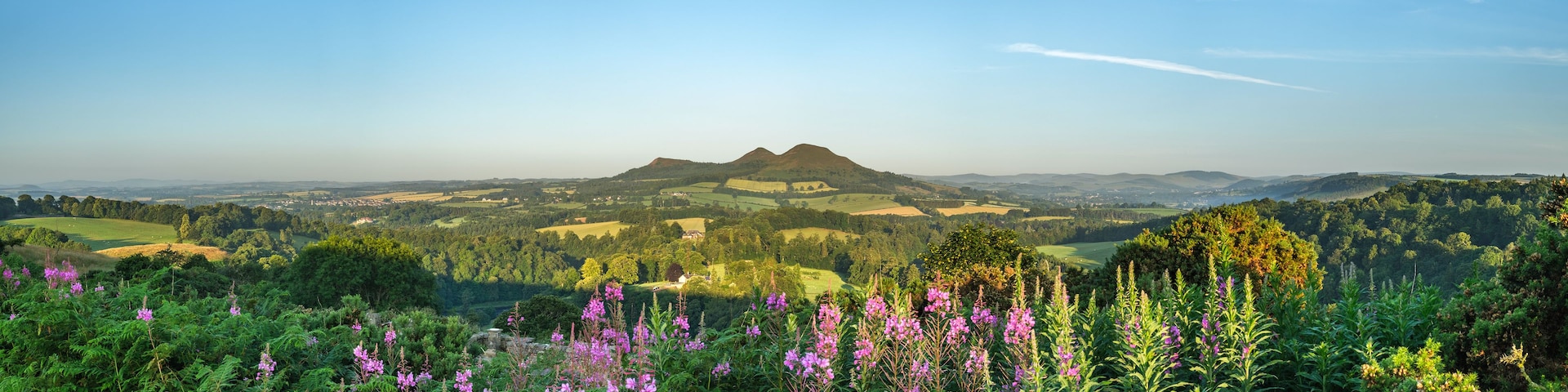 Un paisaje montañoso con cielo despejado, abundante vegetación y flores púrpuras en primer plano.
