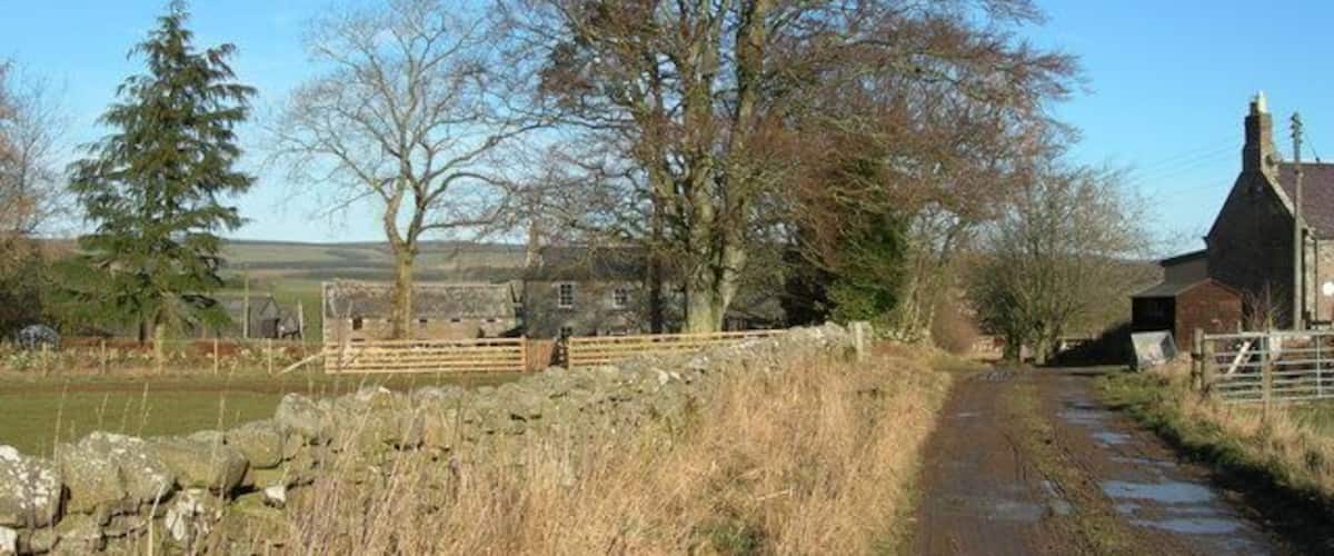 Westruther Mains Farmhouse, farm buildings, farm road and end of row of cottages