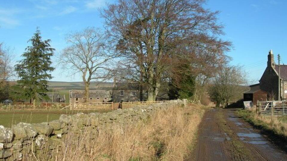 Westruther Mains Farmhouse, farm buildings, farm road and end of row of cottages