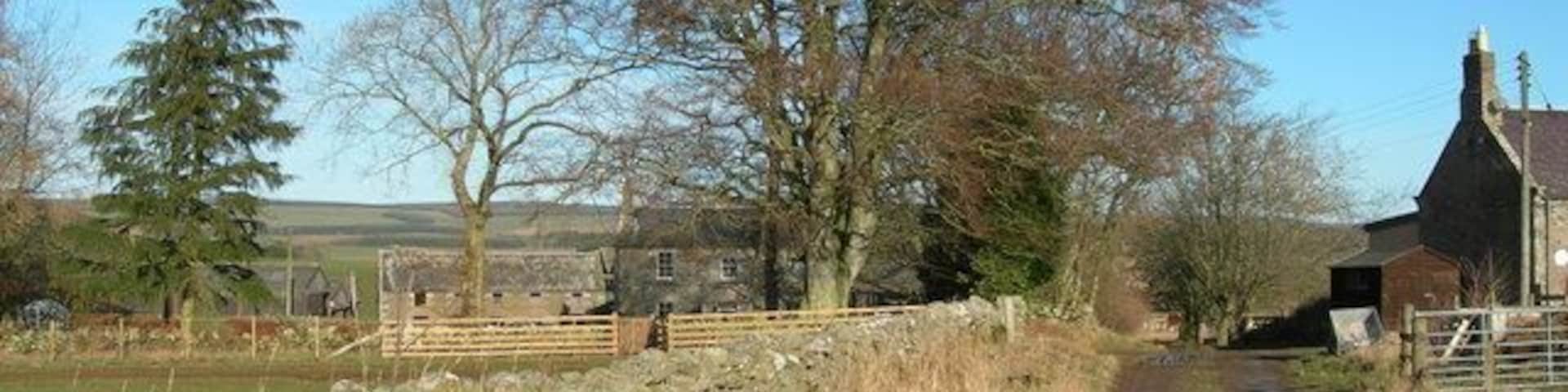 Westruther Mains Farmhouse, farm buildings, farm road and end of row of cottages