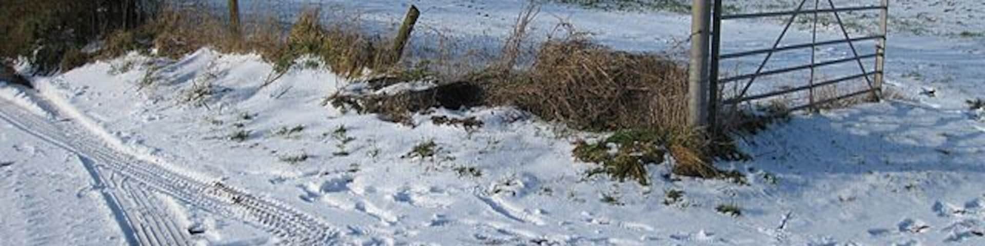 Not a good place to change direction Tracks show a vehicle has turned round. The lane ahead has not been gritted and is very slippery in parts.