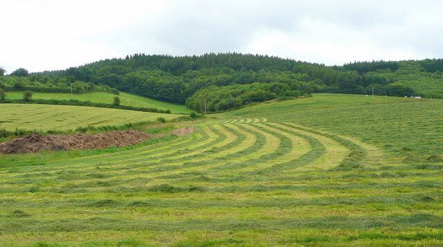 Hay or silage?, near to Weston Under Penyard, Herefordshire, Great Britain. Could be either in this view of a newly cut pasture to the south of the A40 near Weston-under-Penyard.