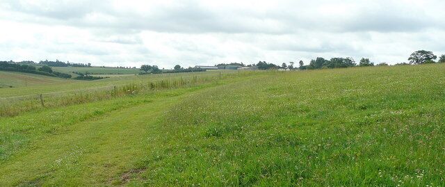 A grassy field with a fence and trees in the distance.