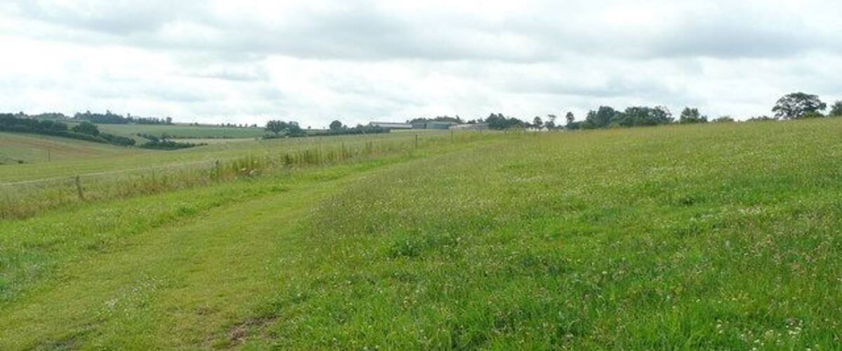 A grassy field with a fence and trees in the distance.