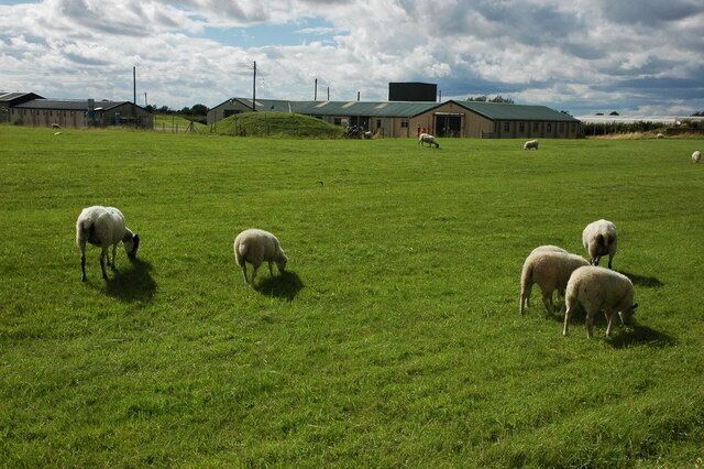 Buildings on Weston Industrial Estate Buildings on Weston Industrial Estate viewed from the footpath to the east.
