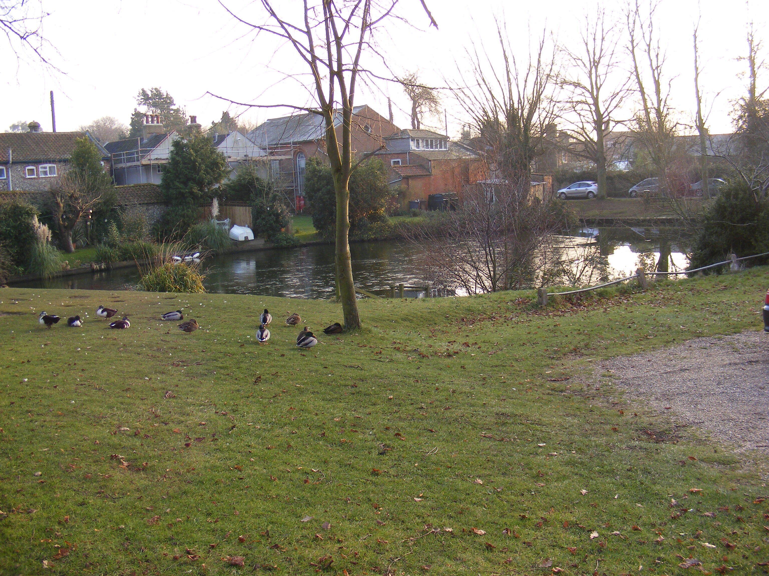 The Village Pond, Westleton