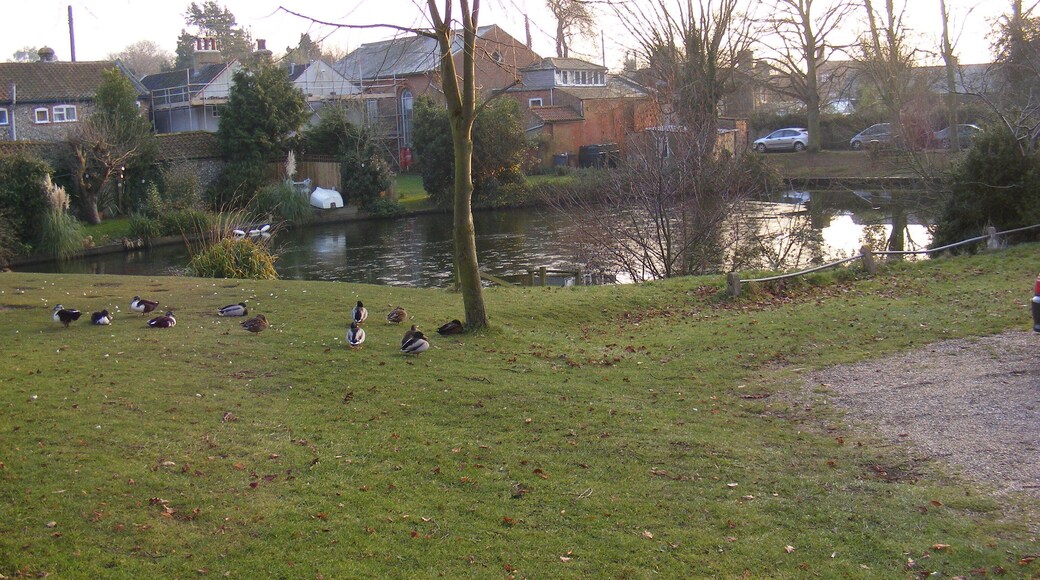 The Village Pond, Westleton