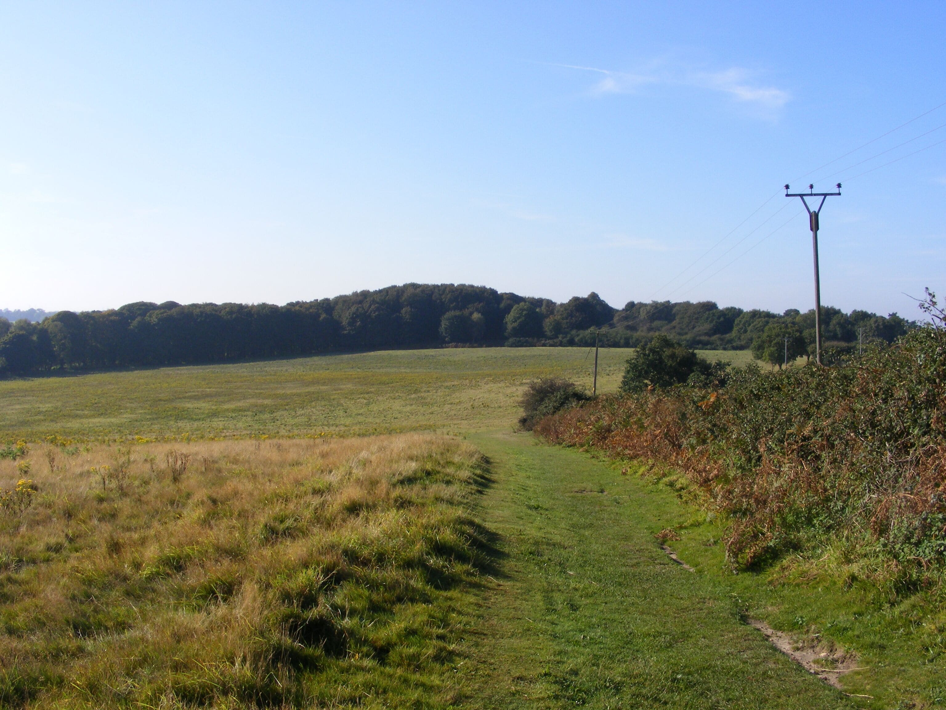 Vault Hill The view south-south-west from Vault Hill