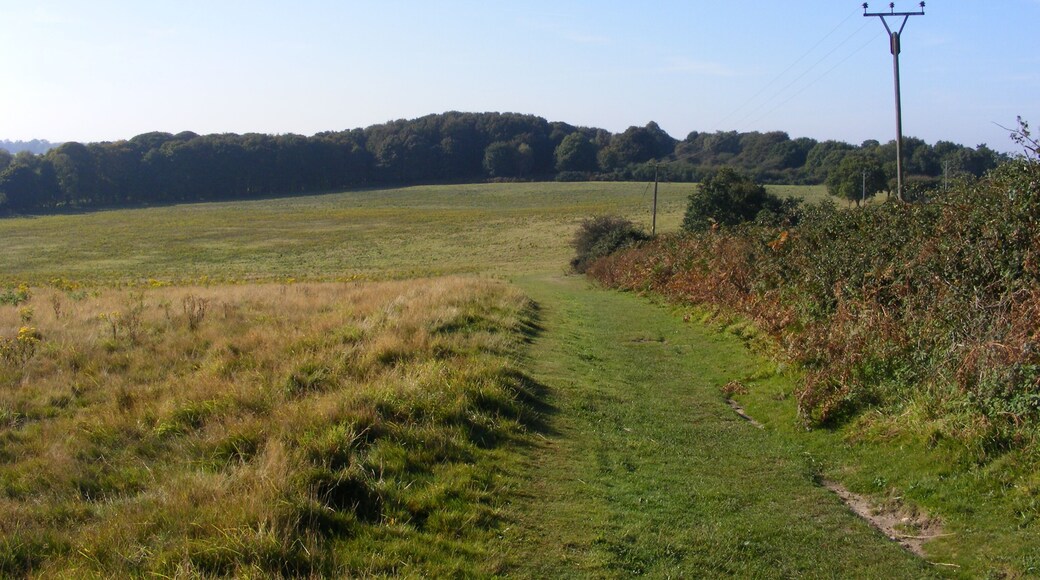 Vault Hill The view south-south-west from Vault Hill