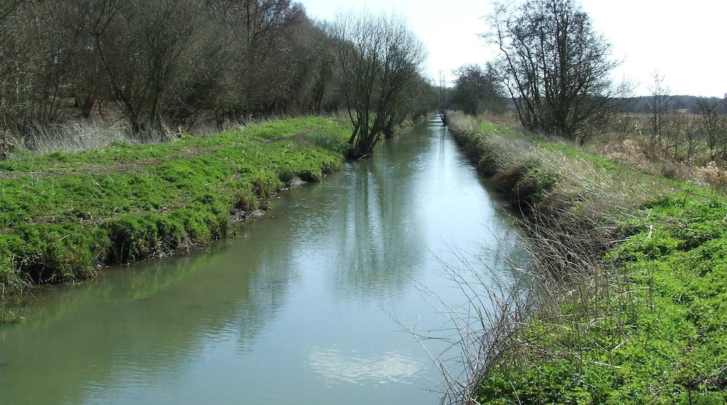 Long Water Looking south east along the Minsmere Cutting near to Eastbridge, Suffolk.