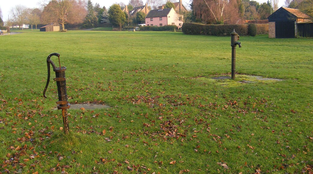 Westleton Village Pumps