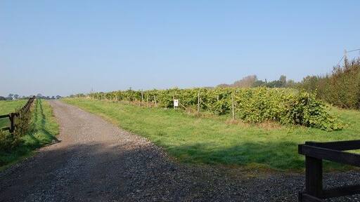 Vineyard, off Parsonage Lane