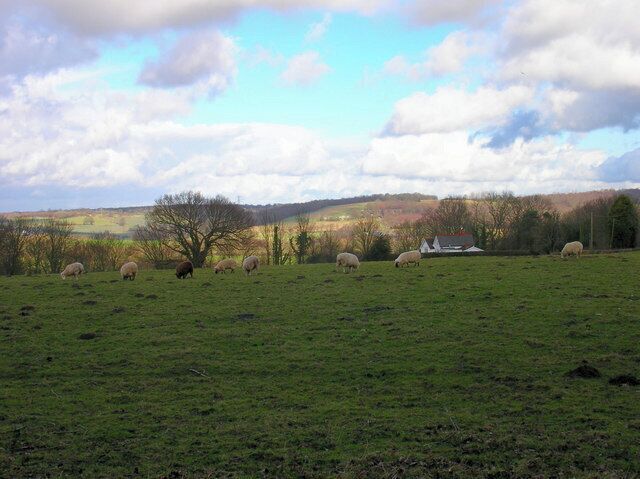 Wealden Landscape from Westbrook Lane The white house to the right is Hillside, the far view is the rising northern portion of the Brede river valley.