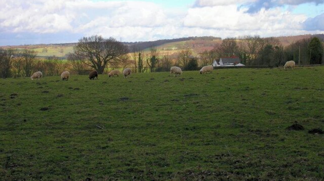 Wealden Landscape from Westbrook Lane The white house to the right is Hillside, the far view is the rising northern portion of the Brede river valley.