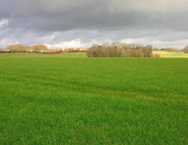 View to Downash Farm Taken from The Moor.