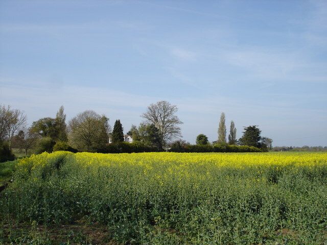 A Suffolk field