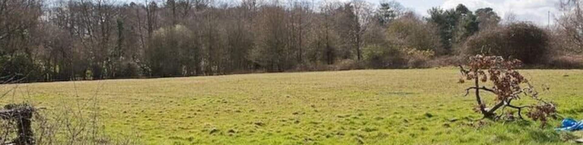 Field at end of The Drove, West Wellow A tributary of the River Blackwater runs within the woodland.