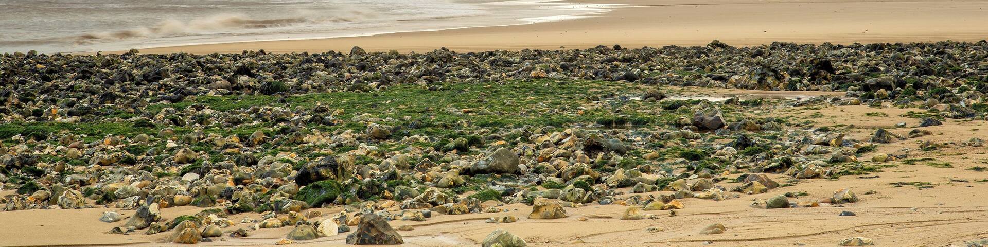 Nice and quiet, great sea views nice sandy
beach interesting wooden sea defences.