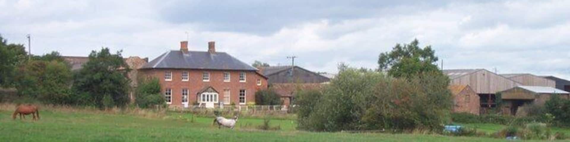 Quantock Farm, near West Monkton.
