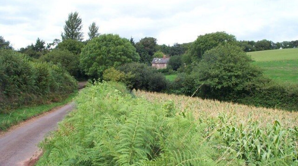 "Standards", an isolated cottage near West Monkton.