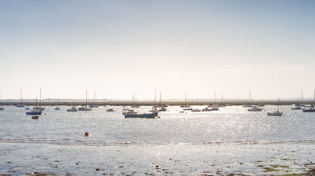 ウェスト マーシー