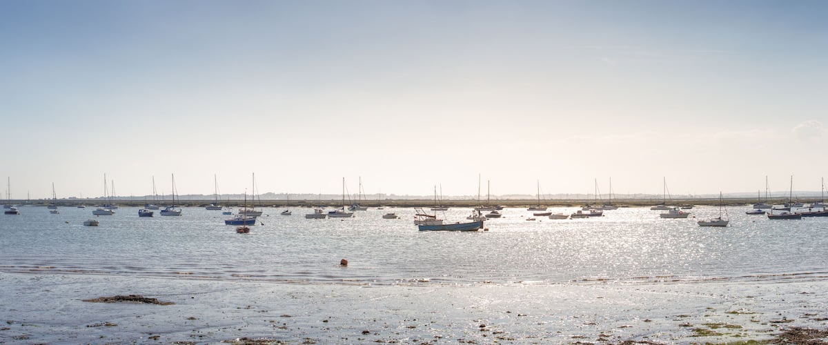A calm harbor with numerous sailboats anchored in the water.