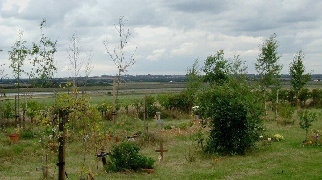 Feldy View. Feldy View is the beginnings of a woodland cemetery on Mersea Island. It has been in operation since about 2000. The idea is to turn a rather ordinary field to the west of Mersea Cemetery into woodland. The area has very pleasant views across the Strood Channel towards Feldy Marshes, no stone or artificial monuments are allowed except wooden grave markers. The only problem is that once all the trees grow up the view across the open marsh that makes the place special will be rather obscured
ho humm!