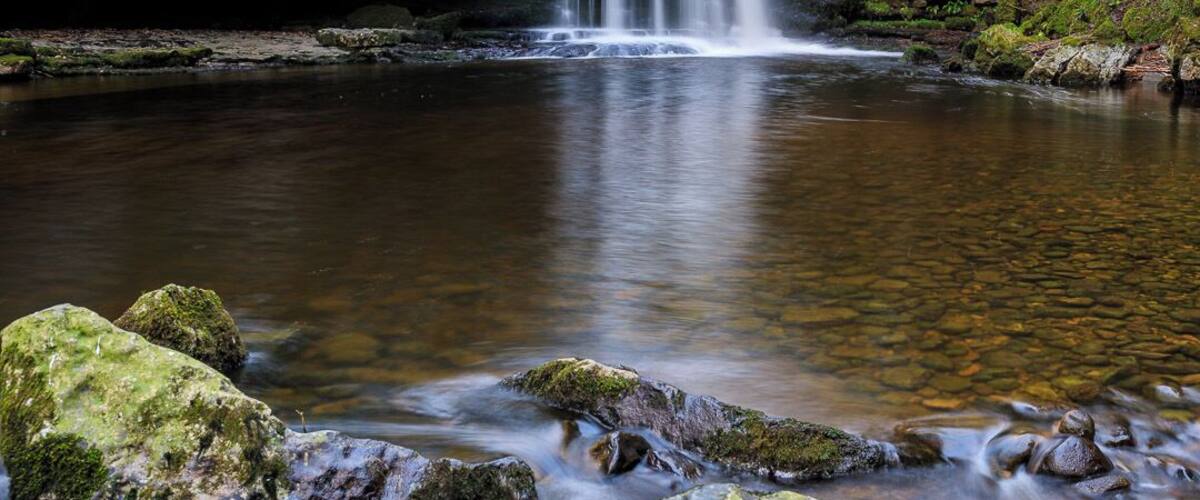 Ein Wasserfall stürzt in einen klaren Pool neben moosbewachsenen Steinen und Bäumen.