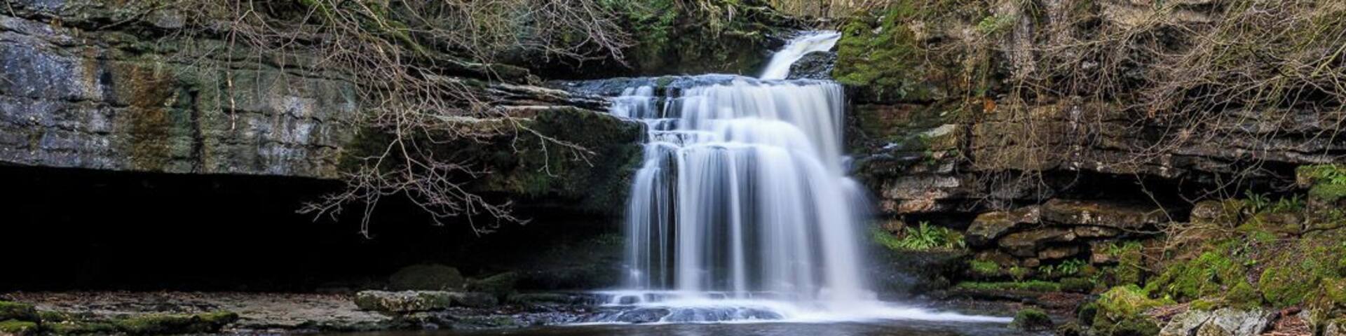 A waterfall cascading into a clear pool surrounded by moss-covered rocks and trees.