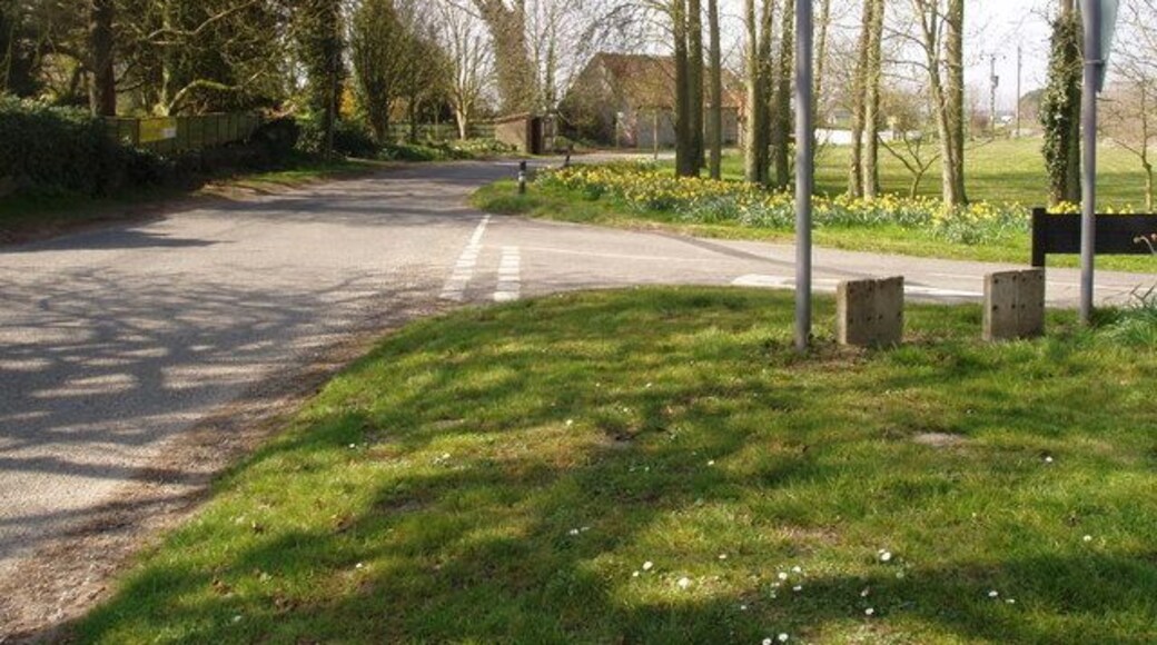 Road to the seaside Turn right and the Norfolk seaside Sheringham is not too far away. Springtime in and around this area of West Beckham is ablaze with fields of yellow - rape crops or the commercial growing of daffodils.