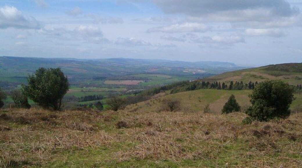 Above Triscombe Quarry. From the Macmillan Way West south of 1357344. The quarry is on this side of the comber; beyond is Marrow Hill, mostly in ST1535, and Great Hill beyond the next wooded combe, actually Triscombe Combe. On the left, the vale between the Quantocks and the Brendons runs northwest to the sea, just visible at Minehead.